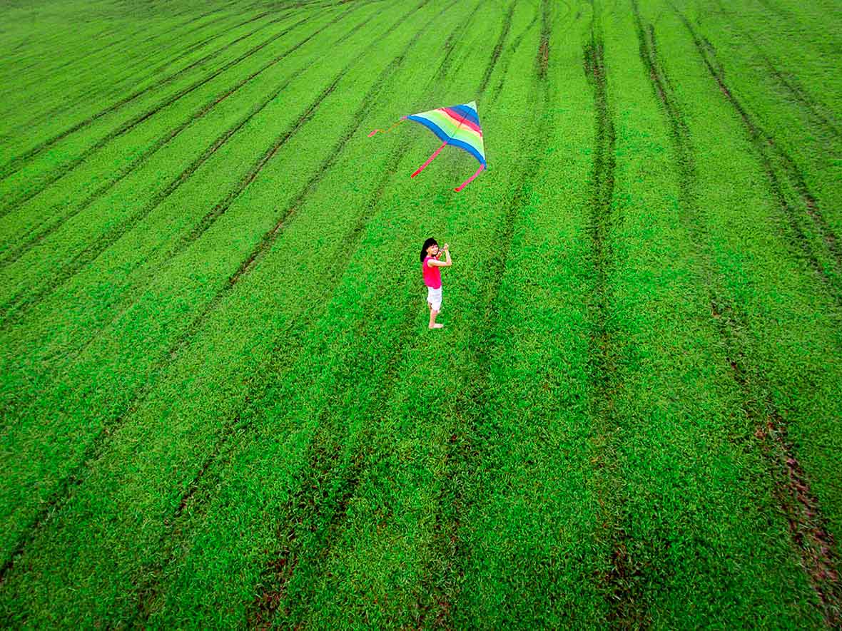 фото с камеры dji phantom 3 professional
