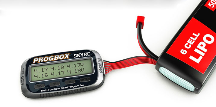 КSkyRC Porgram Box